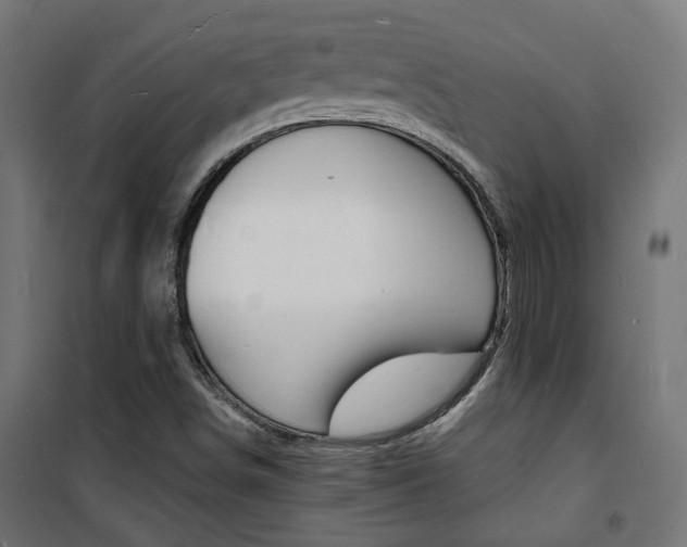 X0000101481498200807071230