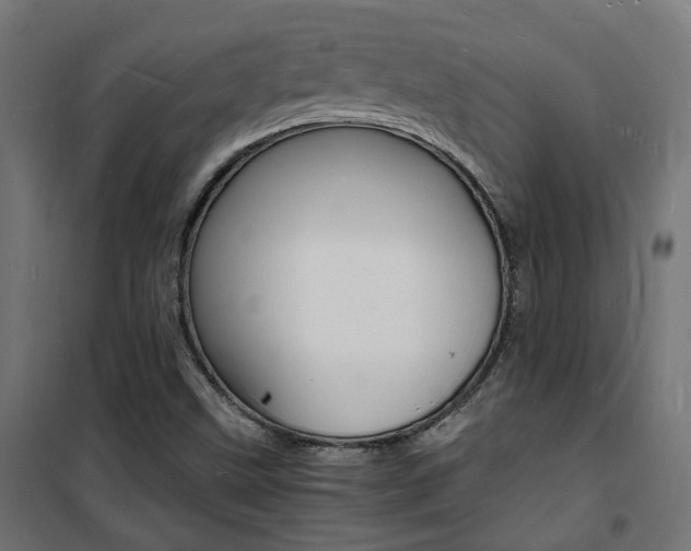 X0000101481499200807071230