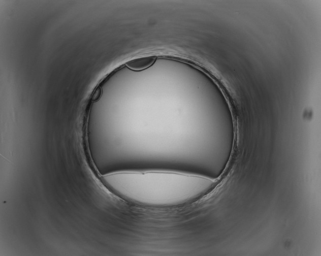 X0000101481500200807071230
