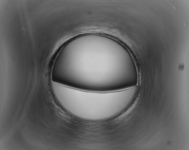 X0000101481501200807071230
