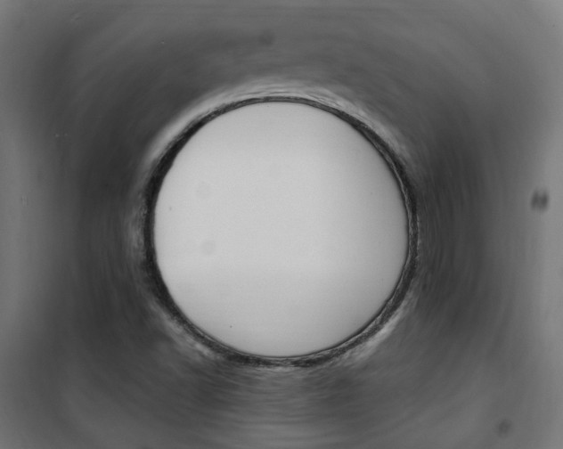 X0000101481502200807071230