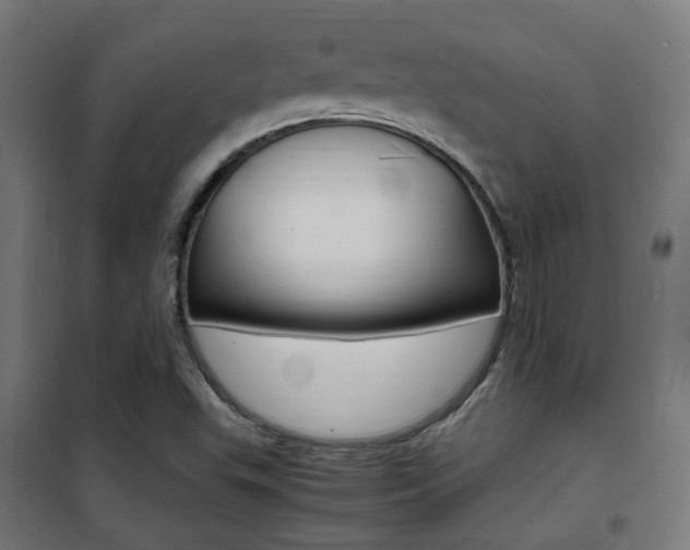 X0000101481503200807071230