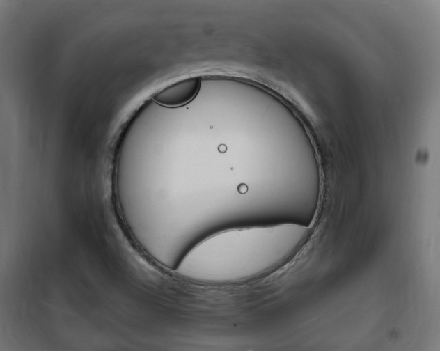 X0000101481504200807071230