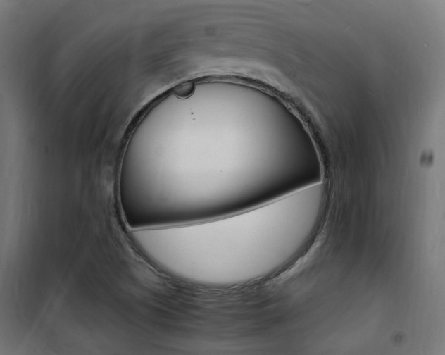 X0000101481505200807071230