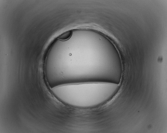 X0000101481506200807071230