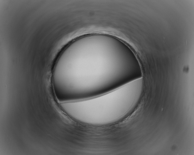 X0000101481507200807071230