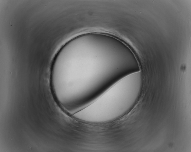 X0000101481508200807071230