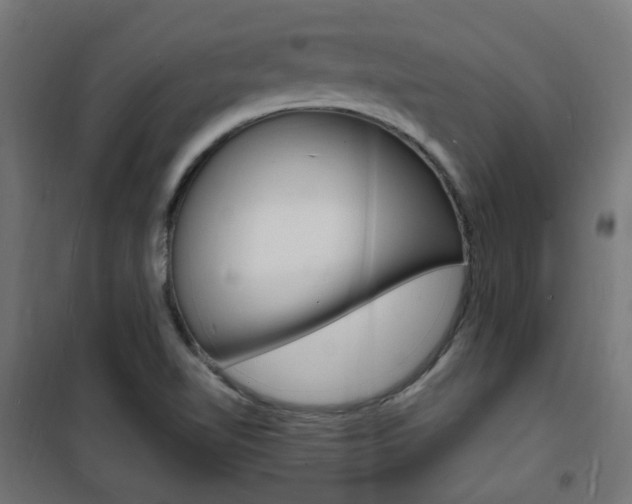 X0000101481510200807071230