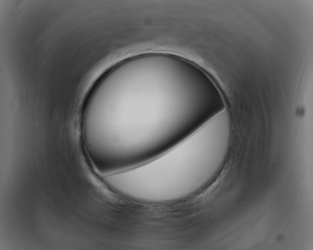 X0000101481511200807071230