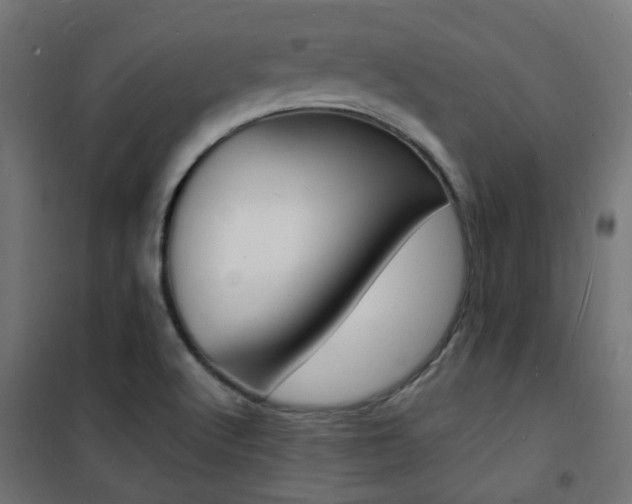 X0000101481512200807071230