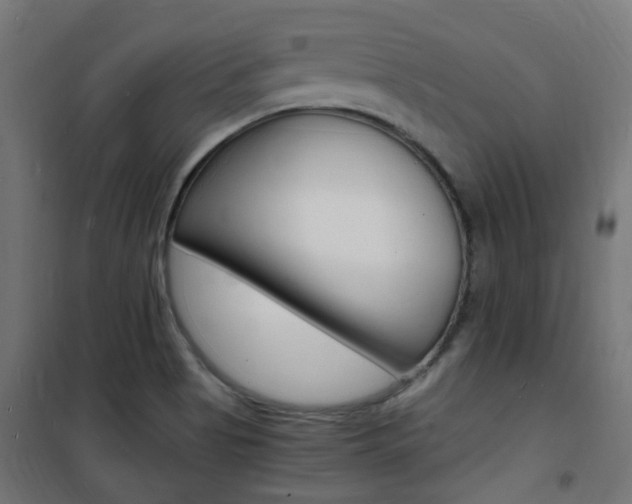 X0000101481513200807071230
