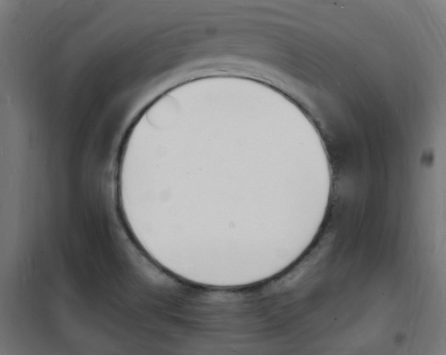 X0000101481514200807071230
