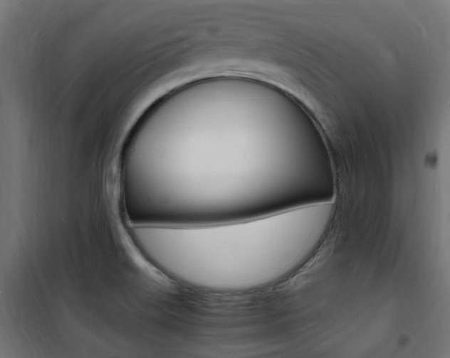 X0000101481515200807071230