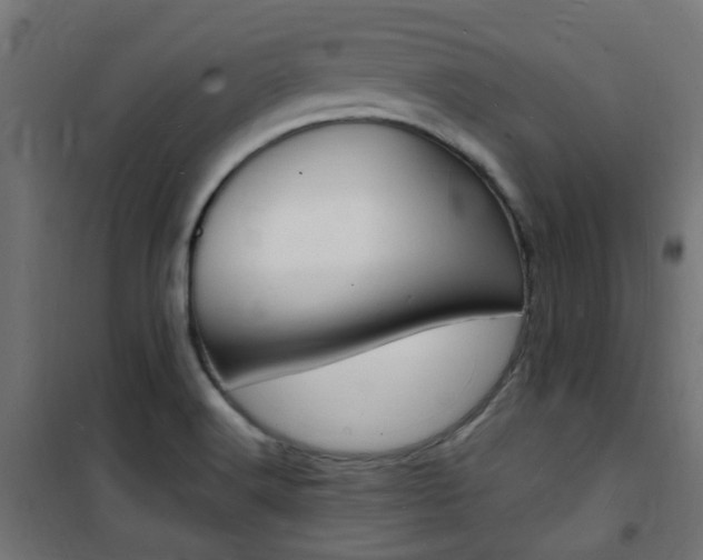 X0000101481516200807071230