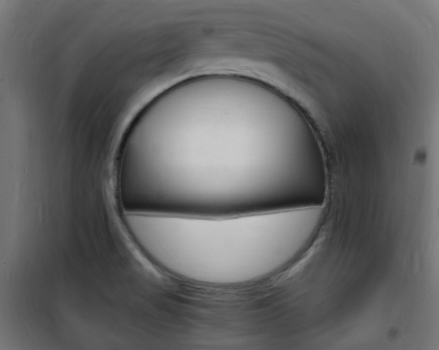 X0000101481517200807071230