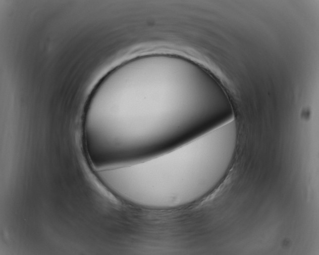 X0000101481518200807071230