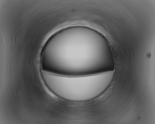 X0000101481519200807071230