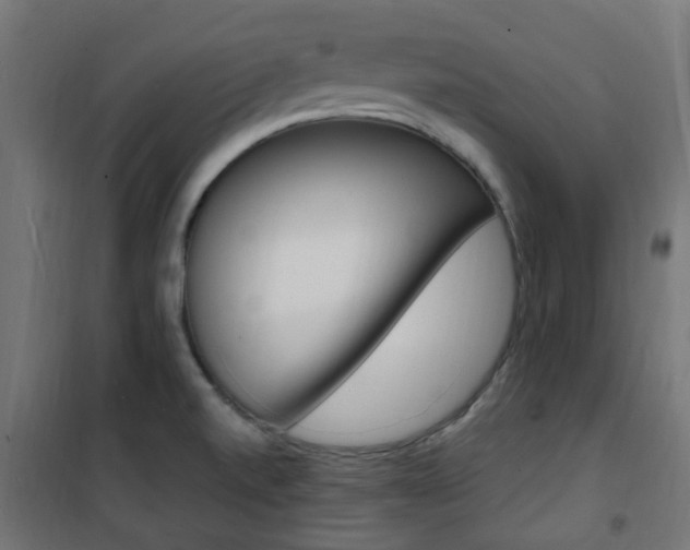 X0000101481520200807071230