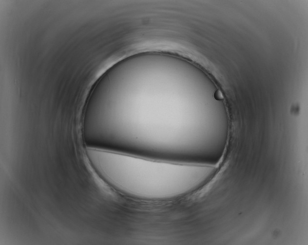 X0000101481521200807071230