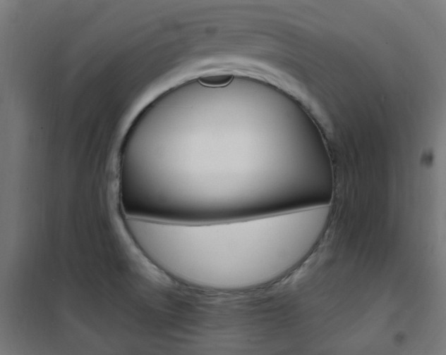 X0000101481522200807071230