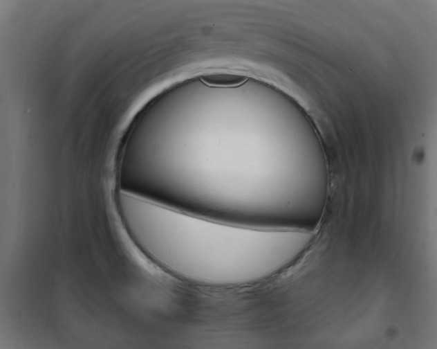 X0000101481523200807071231