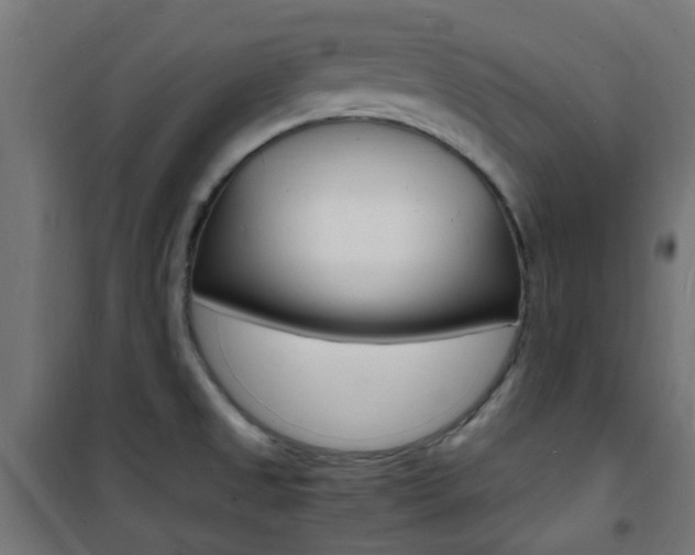 X0000101481525200807071231