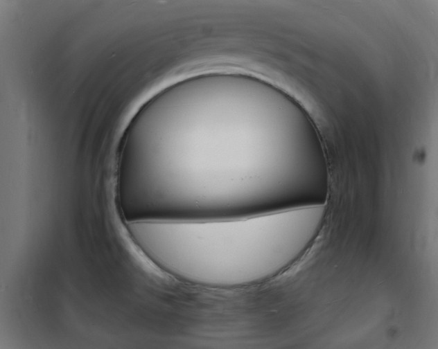 X0000101481526200807071231