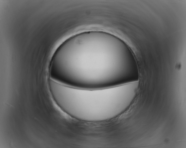 X0000101481527200807071231