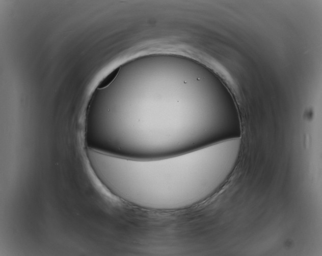 X0000101481528200807071231