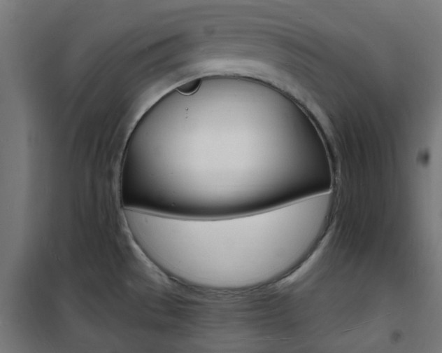 X0000101481529200807071231