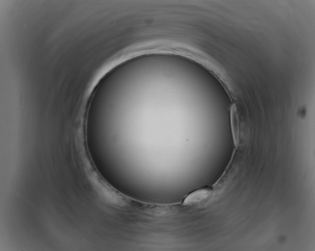 X0000101481530200807071231