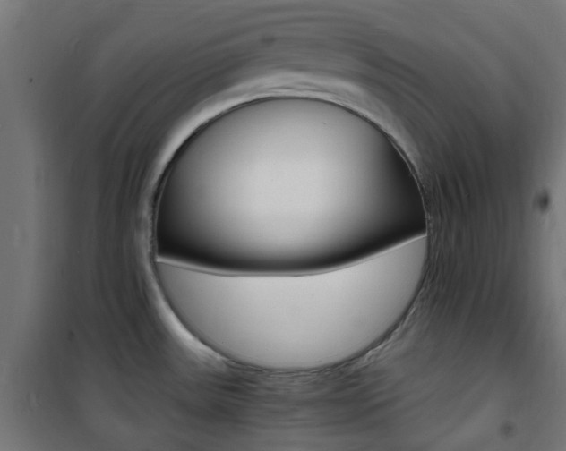 X0000101481531200807071231
