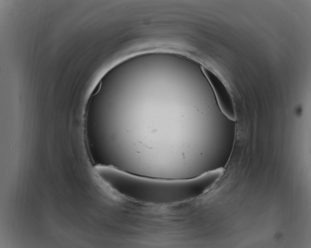 X0000101481532200807071231