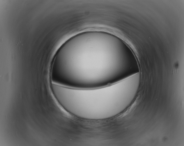X0000101481533200807071231