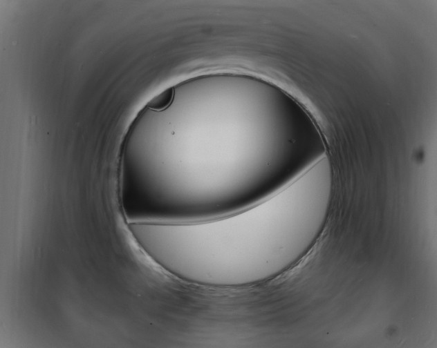 X0000101481534200807071231