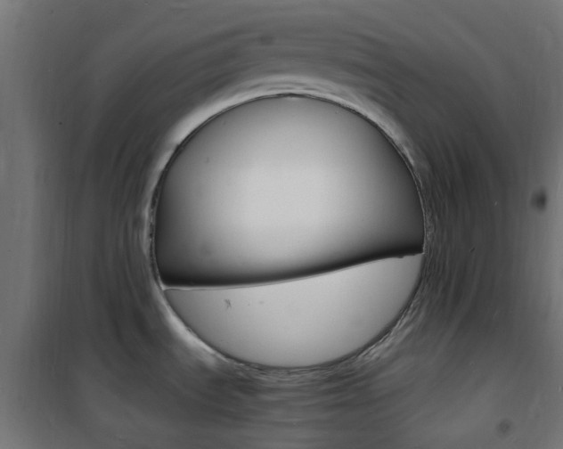 X0000101481535200807071231