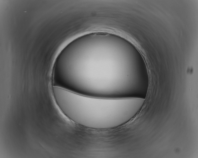 X0000101481536200807071231