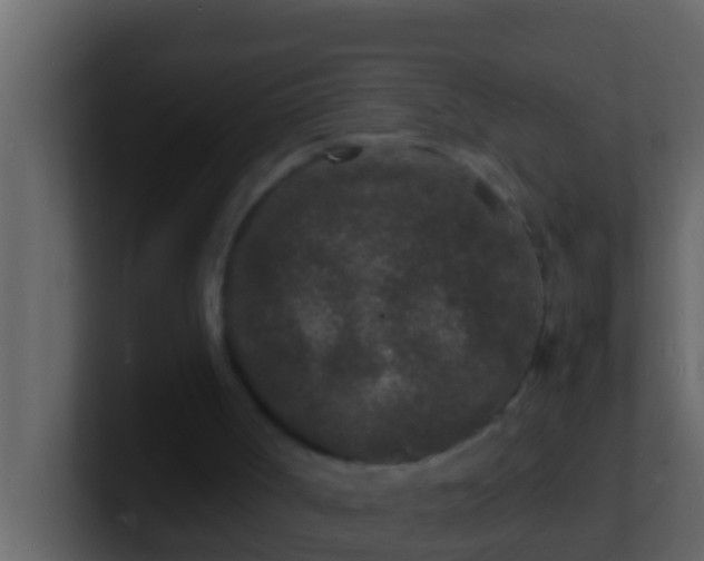 X0000101480002200807071514