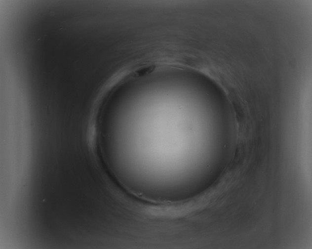 X0000101480005200807071514