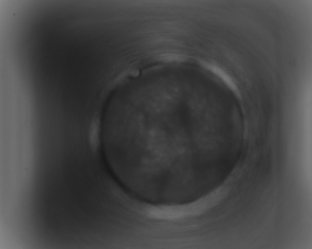 X0000101480009200807071514