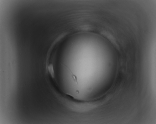 X0000101480012200807071513