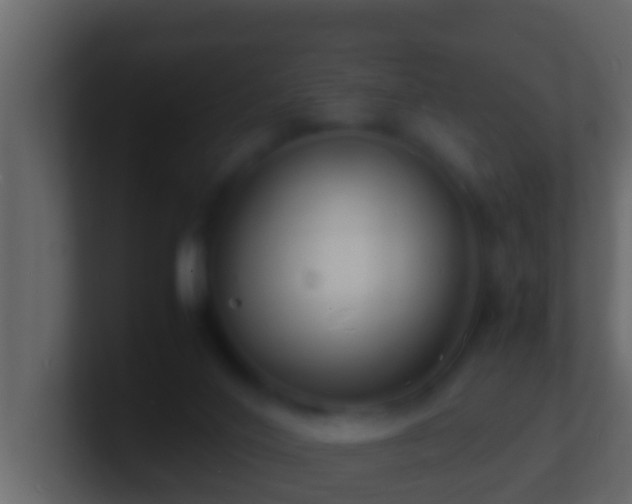 X0000101480020200807071513