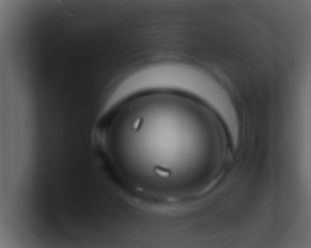 X0000101480024200807071513