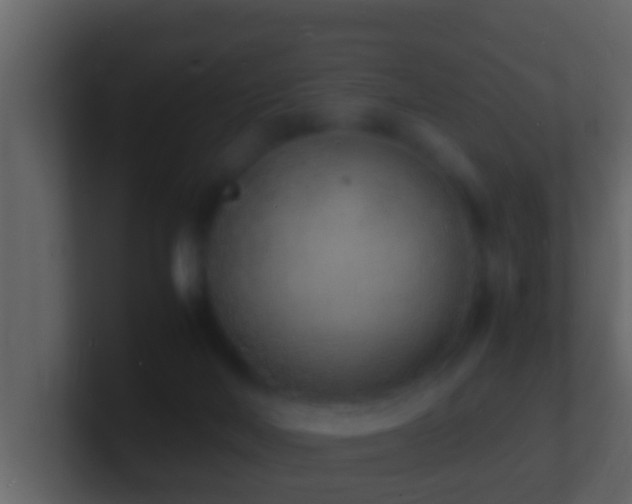 X0000101480026200807071513