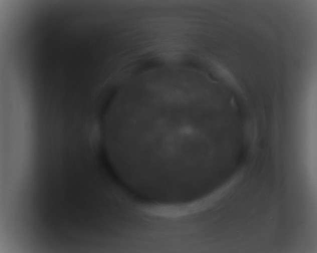 X0000101480029200807071513