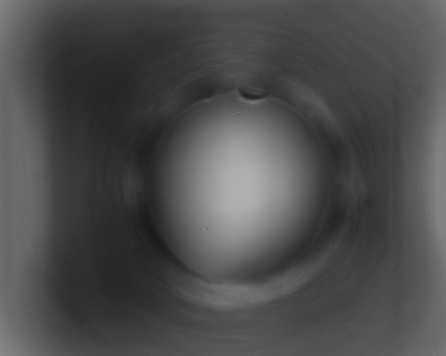 X0000101480034200807071513