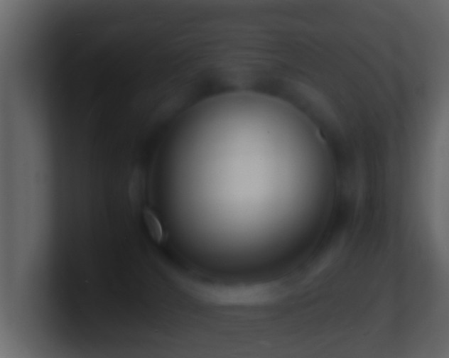 X0000101480036200807071513