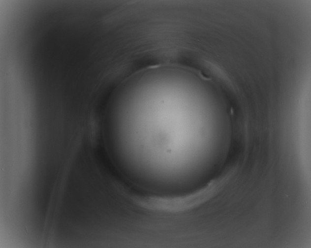 X0000101480037200807071513