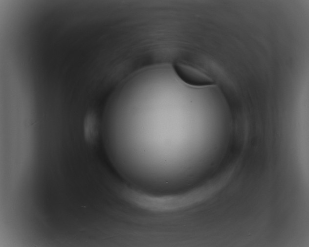 X0000101480038200807071513