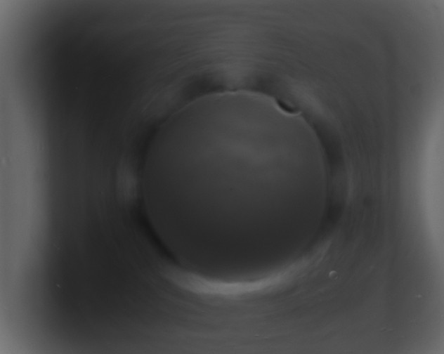 X0000101480039200807071513